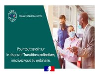 Les transitions collectives