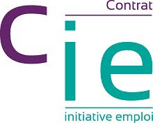 Disparité de genre dans les contrats initiative emploi (CIE)