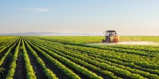 Comités techniques régionaux de prévention des risques professionnels du secteur agricole Grand Est