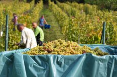 Campagne de contrôle de l'inspection du travail en Champagne