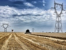 Les risques électriques lors des travaux agricoles