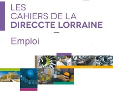 Les déclarations préalables à l'embauche en Lorraine en 2014