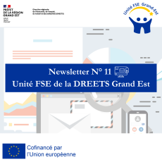Newsletter N°11 - Unité FSE
