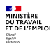 Ministère du Travail de l'Emploi et de l'Insertion